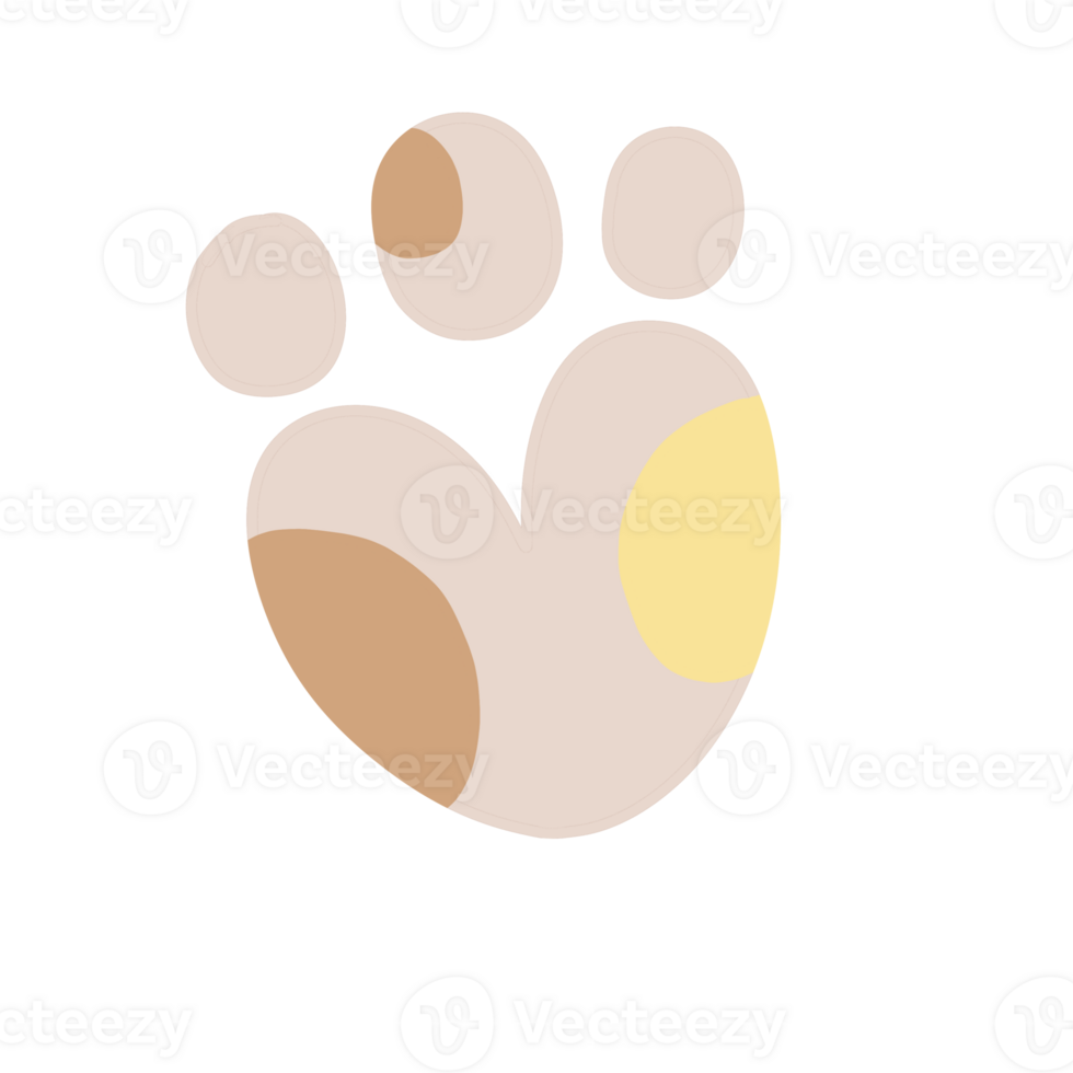 Paw calico cat animal foot png