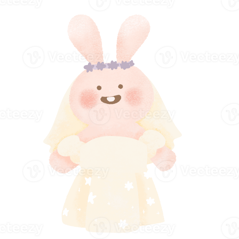 Bride rabbit bunny girl wedding dress smile happy Wedding day png