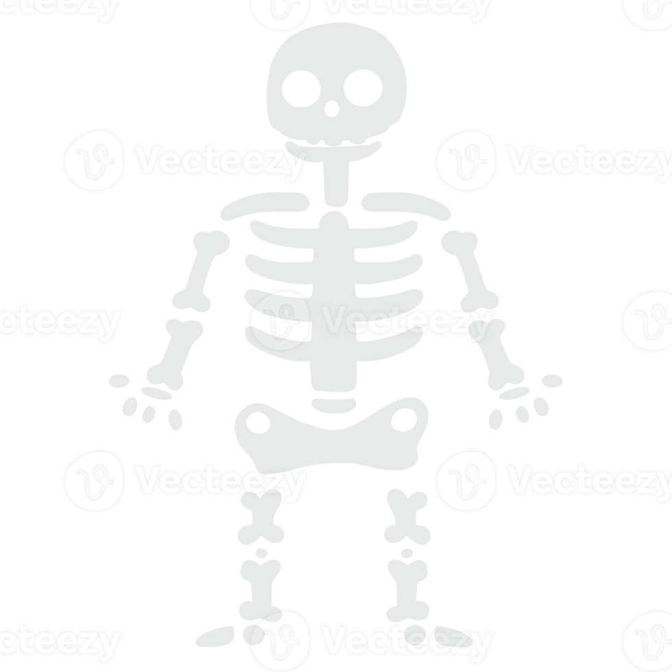 skeleton body blood system png