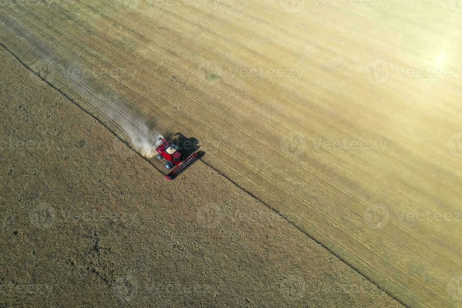 Wheat harvest in the Argentine countryside, La Pampa province, Patagonia, Argentina. photo