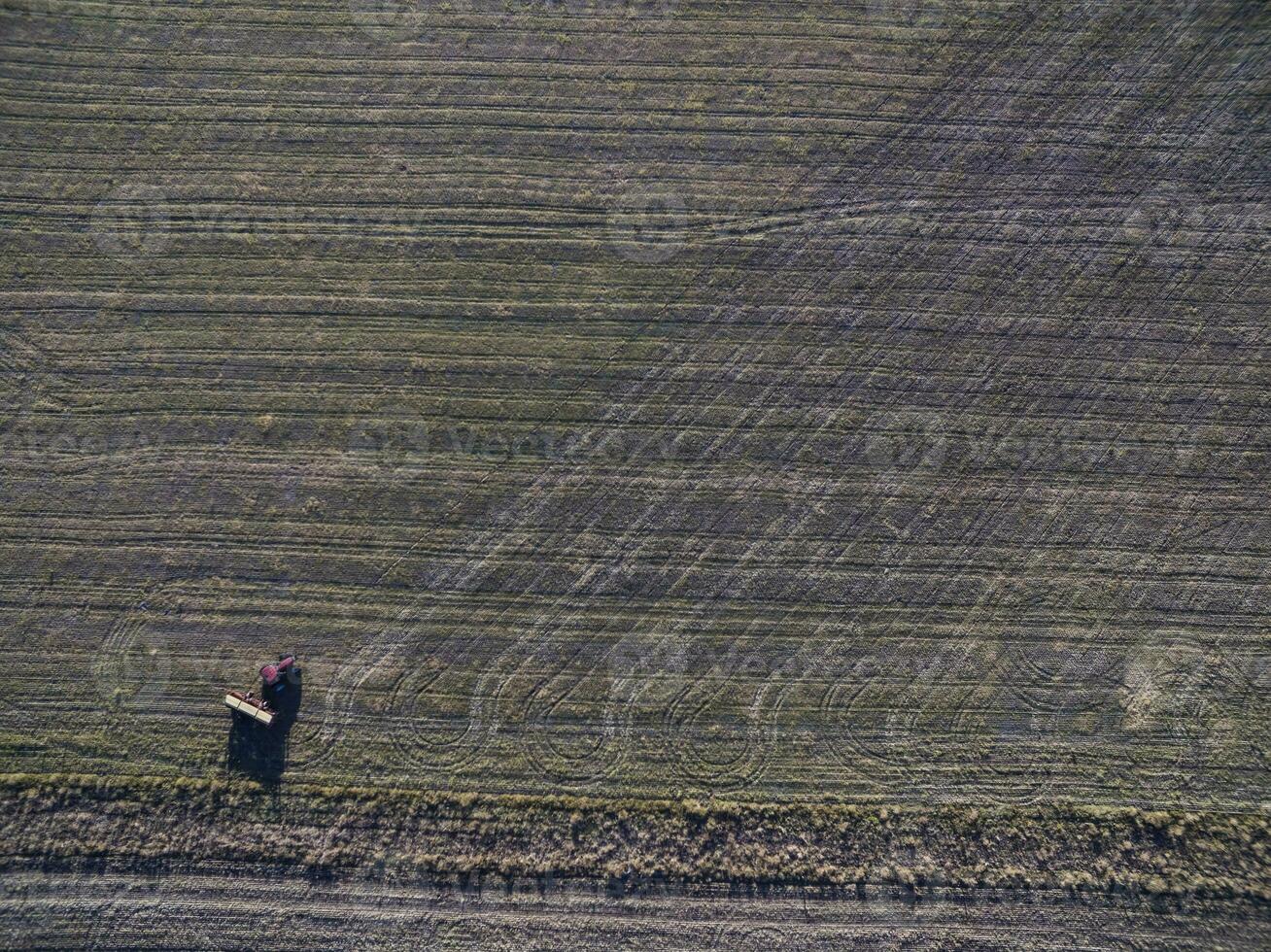 tractor y sembradora, directo siembra en el pampa, argentina foto
