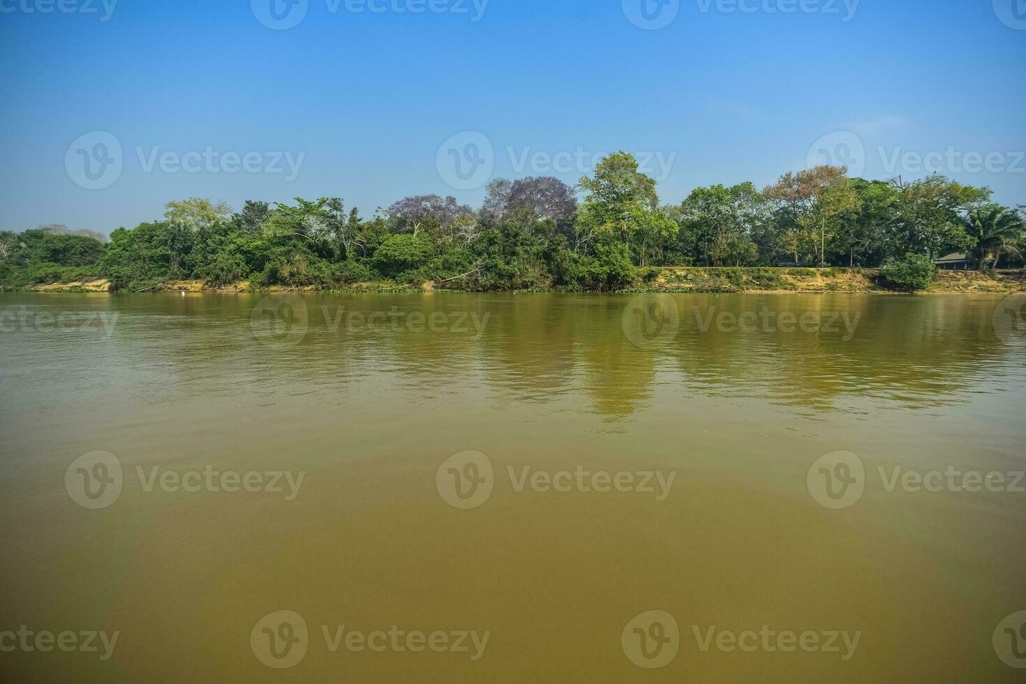 River landscape  and jungle,Pantanal, Brazil photo