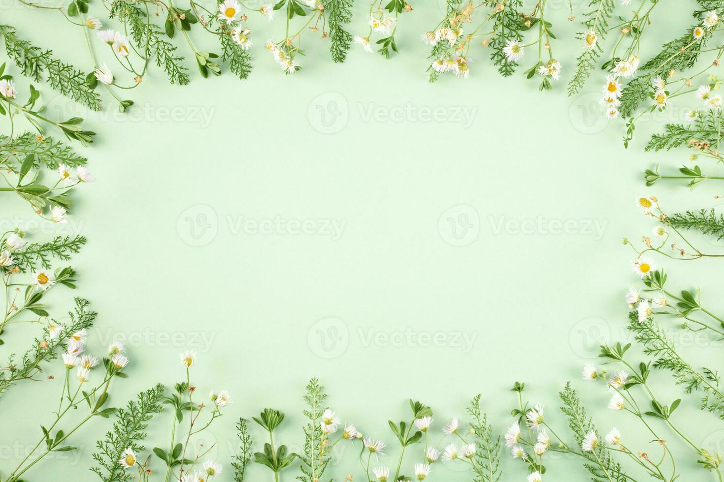 pastel verde césped con blanco flores como oval marco en ligero verde fondo, mínimo plano laico foto