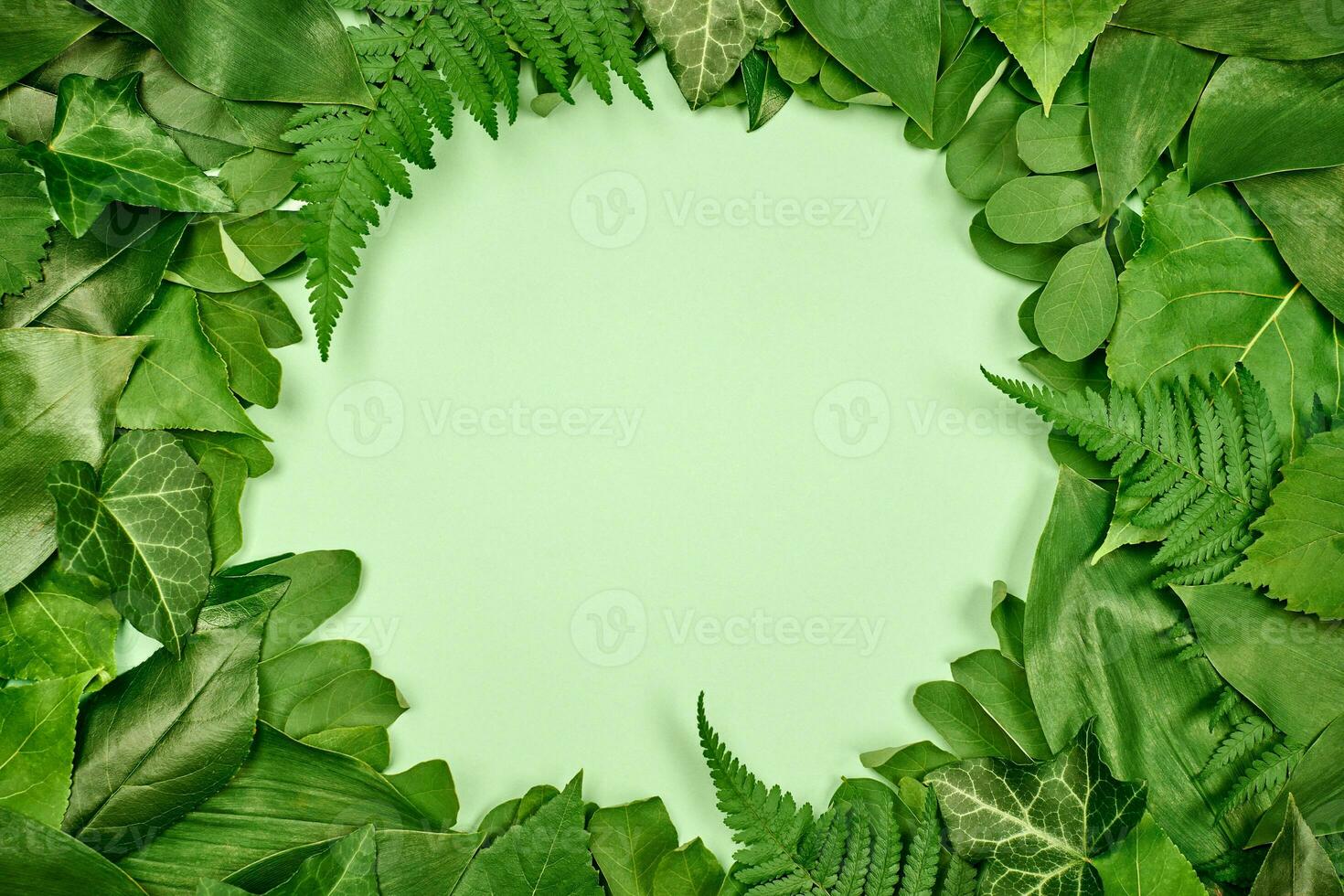 Green leaves circle frame with white empty copy space in center, flat lay top view photo