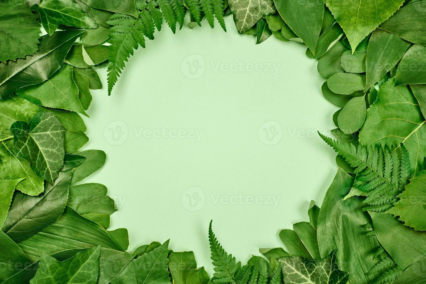 Green leaves circle frame with white empty copy space in center, flat lay top view photo