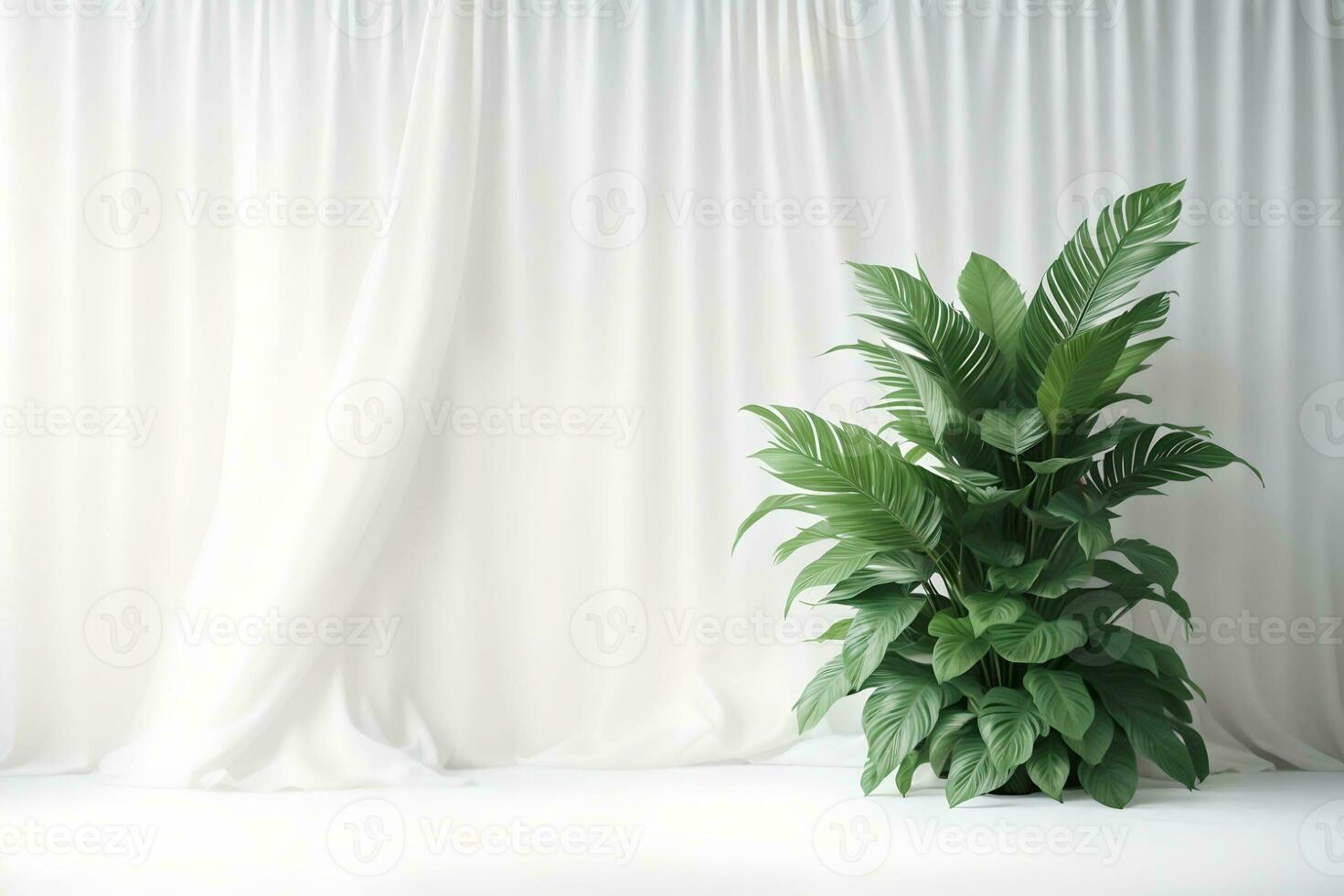 Beautiful tropical houseplant in white pot over white curtain background. AI Generated. photo