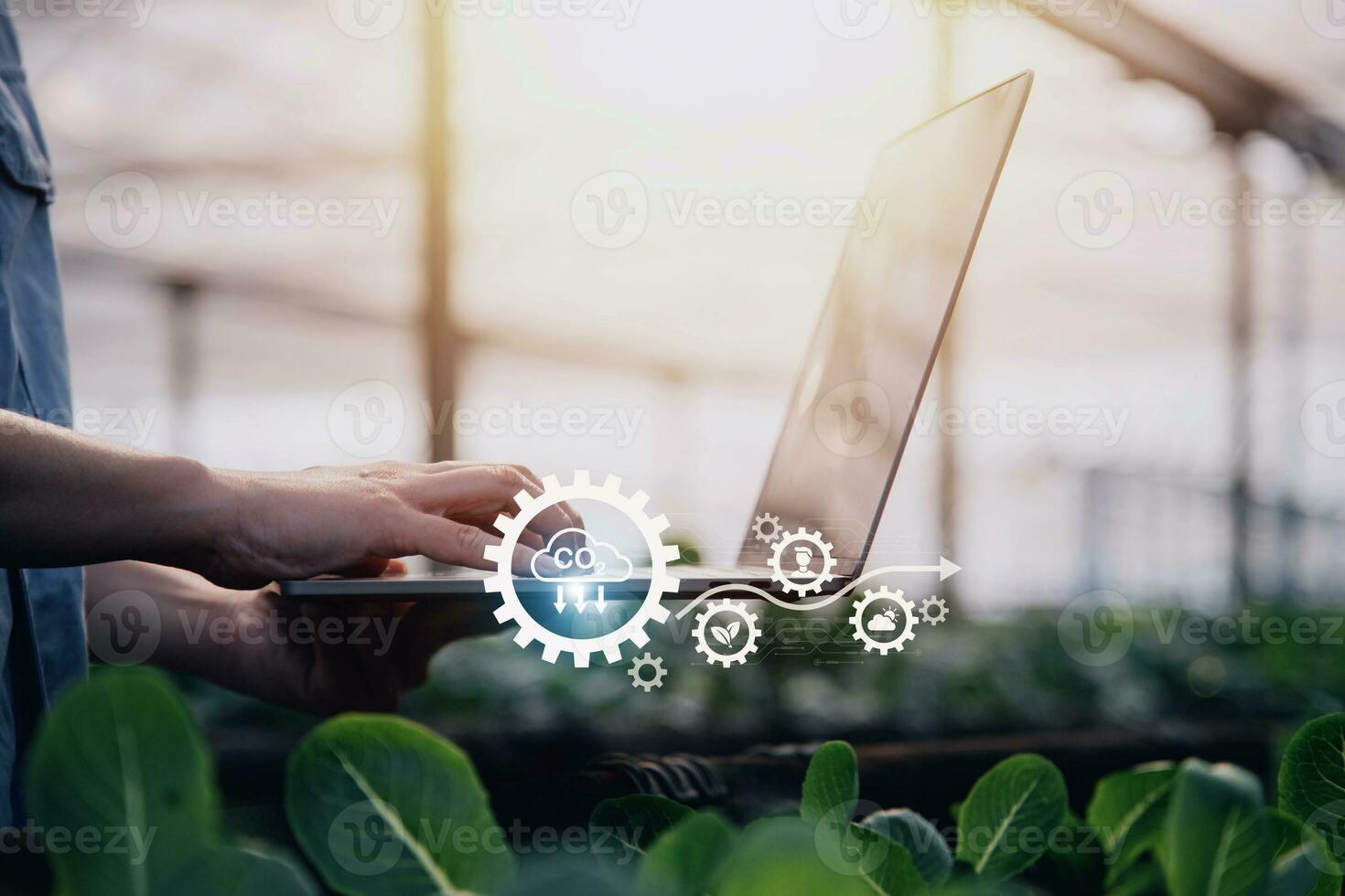 Smart farmer using application by tablet concepts modern vegetables and gardening lettuce at greenhouse. and visual icon. photo