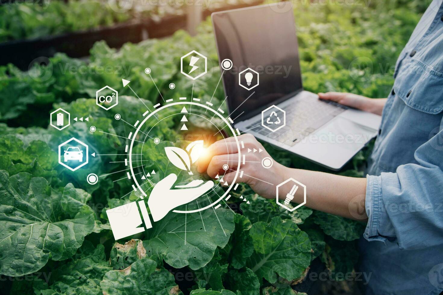 Smart farmer using application by tablet concepts modern vegetables and gardening lettuce at greenhouse. and visual icon. photo