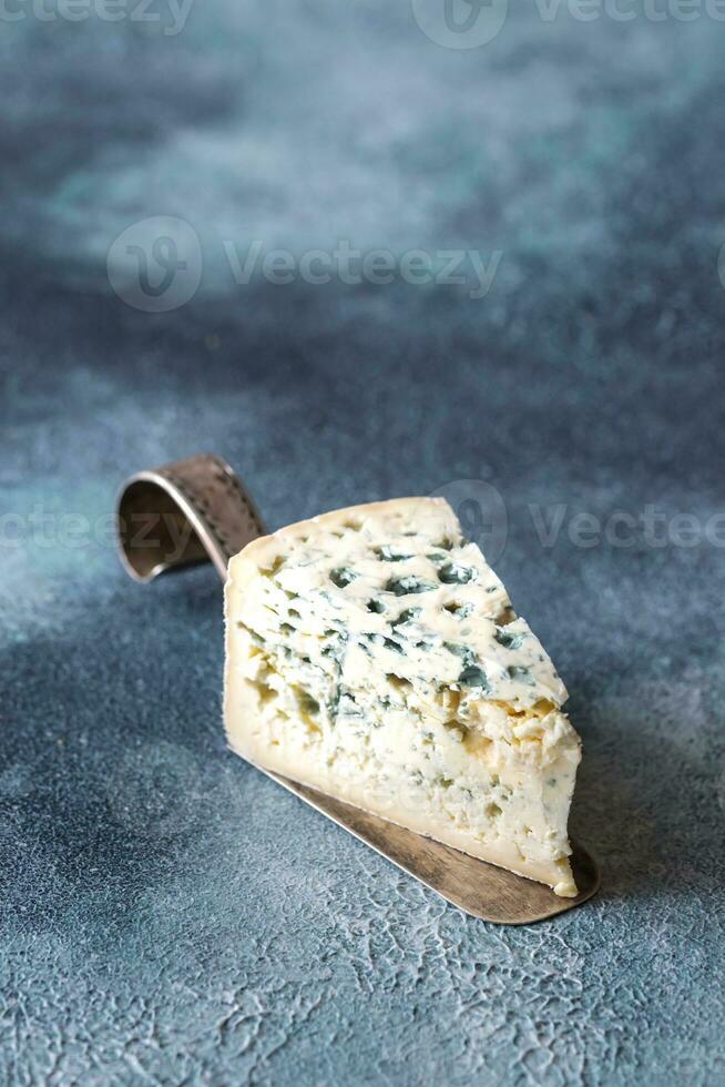 A wedge of blue cheese photo