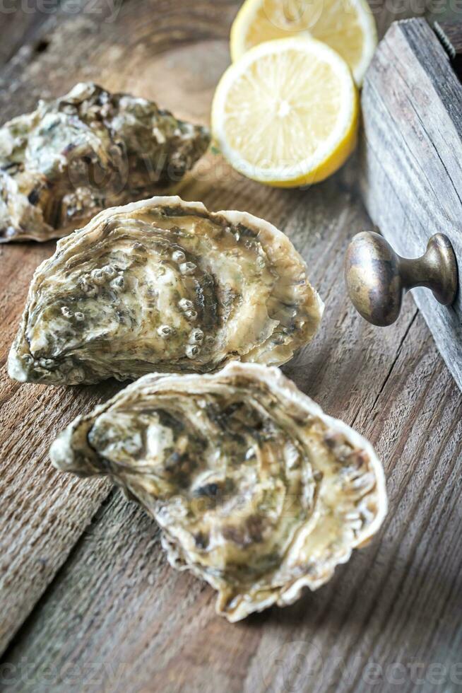 Raw oysters on the wooden background photo
