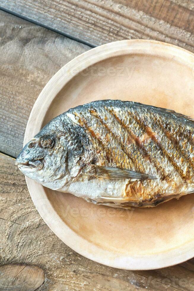 Grilled gilt-head bream photo