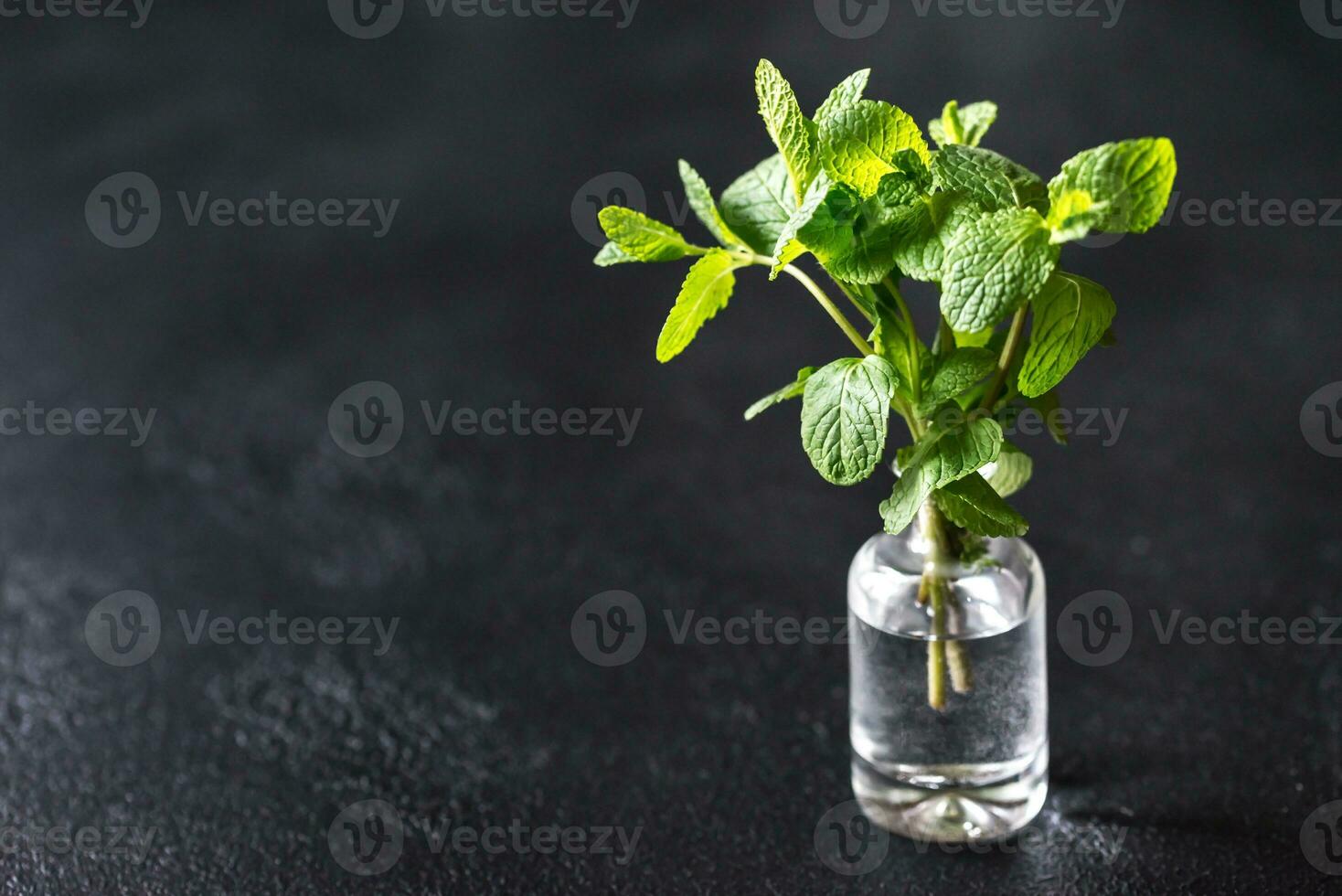 Bunch of fresh mint in the glass vase photo