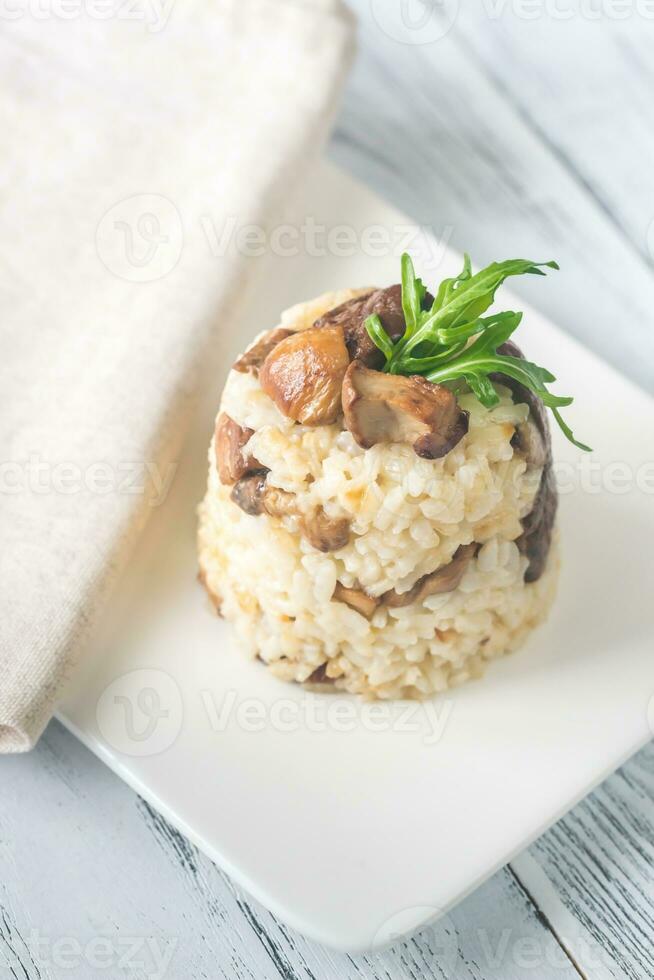 Risotto ai funghi photo