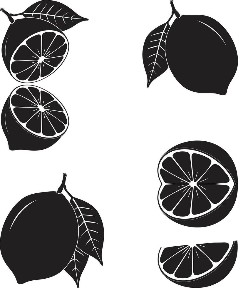 Lemon silhouette vector Set illustration. Half lemon or orange hand drawn on white background.