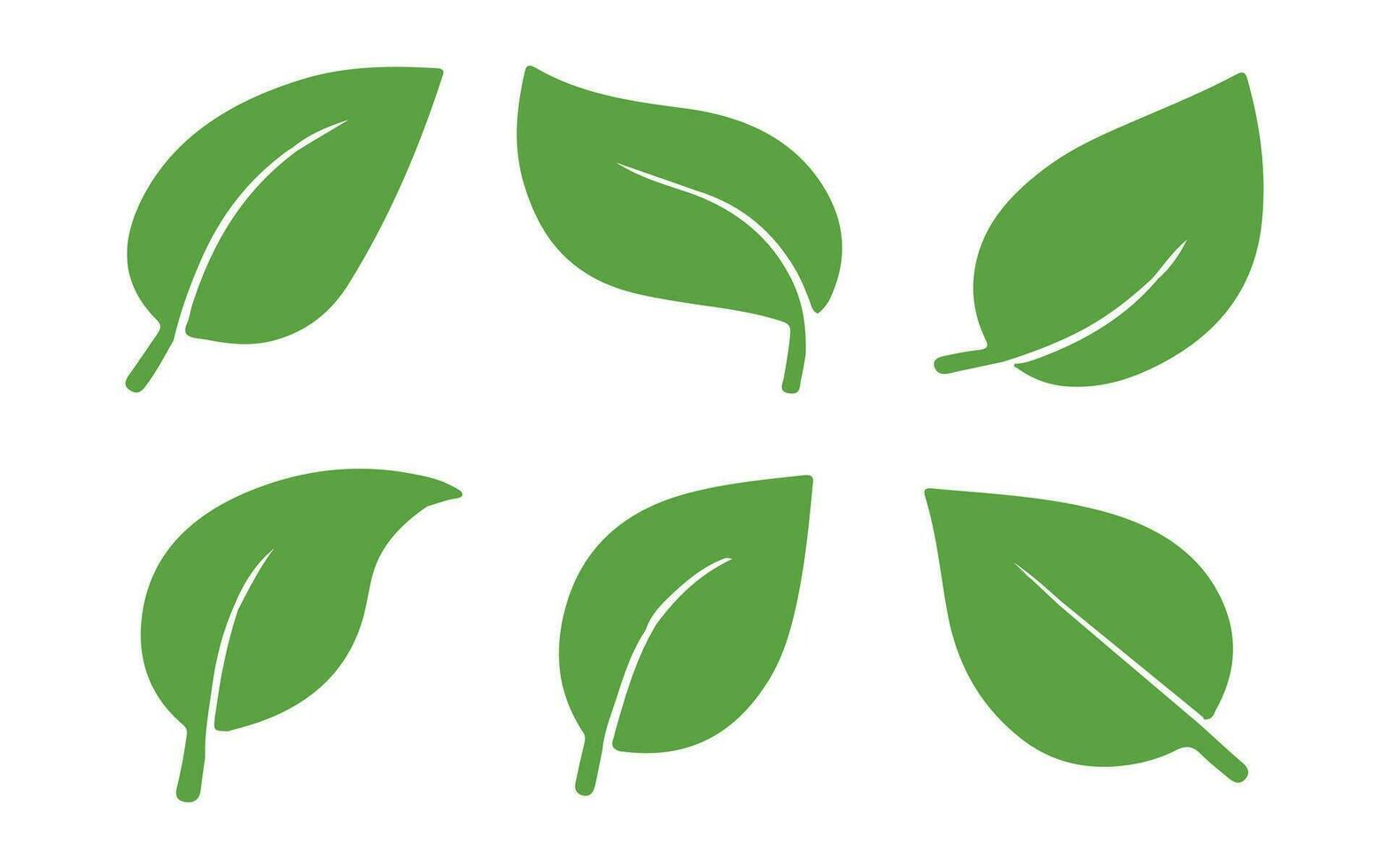 Leaves icon vector set isolated on white background. Various shapes of green leaves of trees and plants. Elements for eco and bio logos.