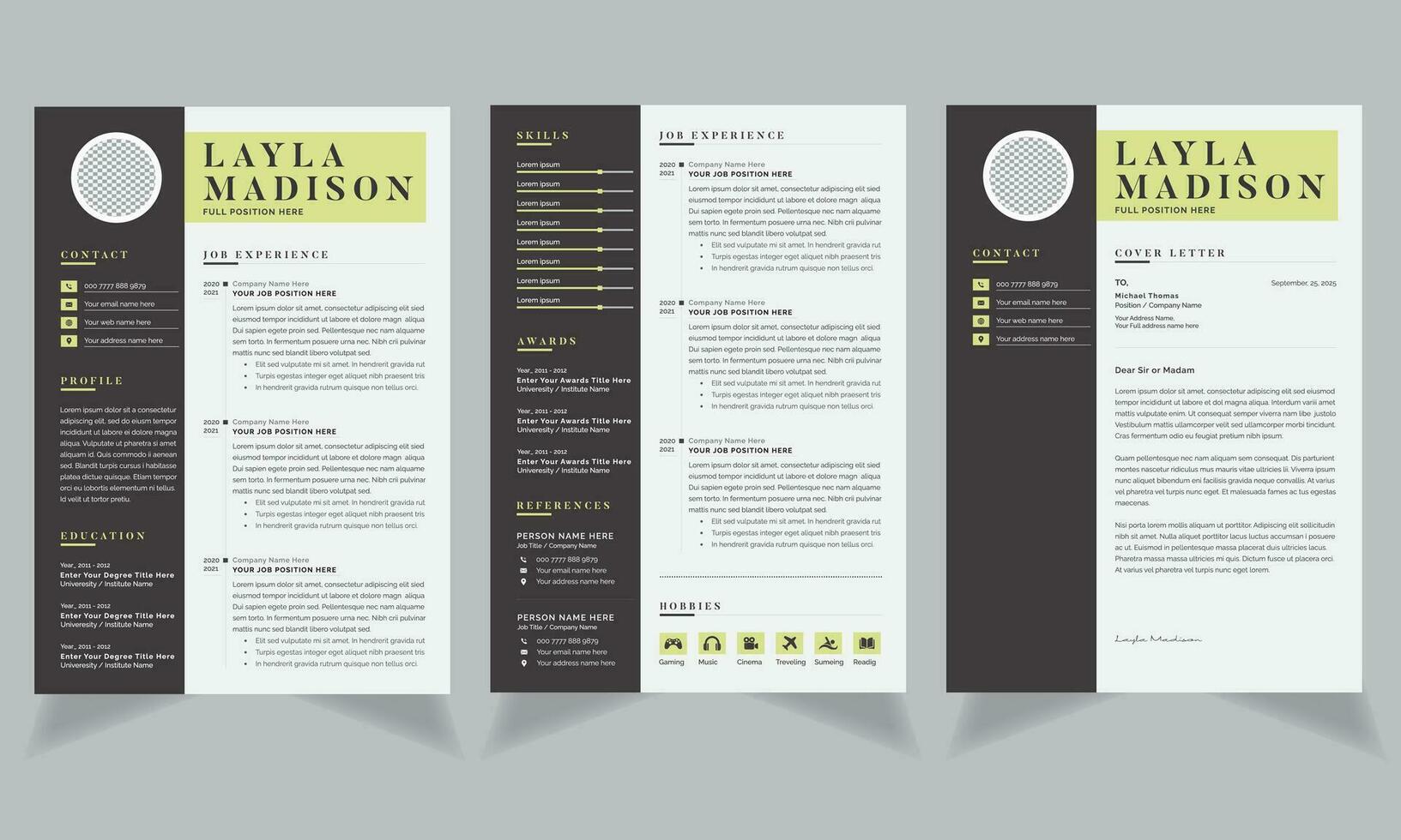 Professional Resume and Layout Black Sidebar CV Template vector