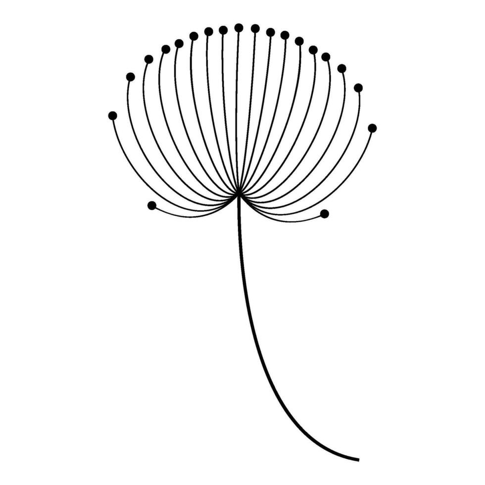 Dandelion icon vector