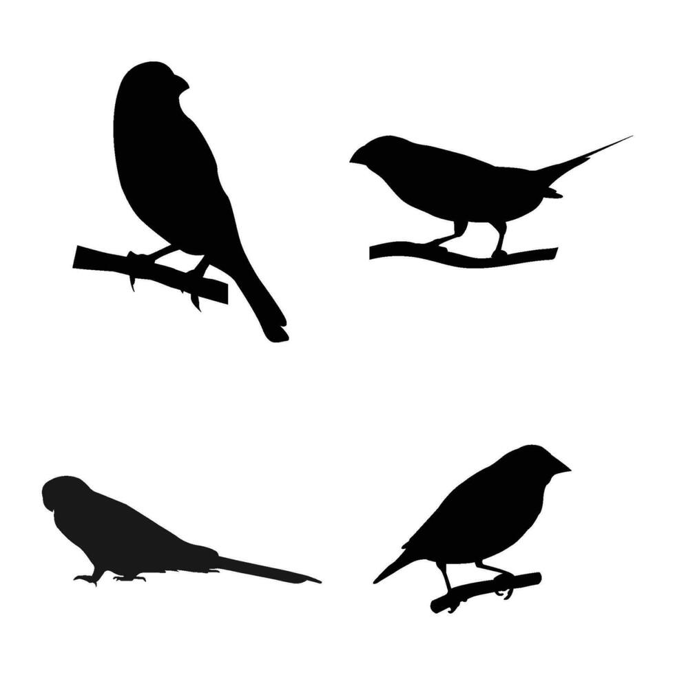 gouldiano pinzón pájaro icono vector