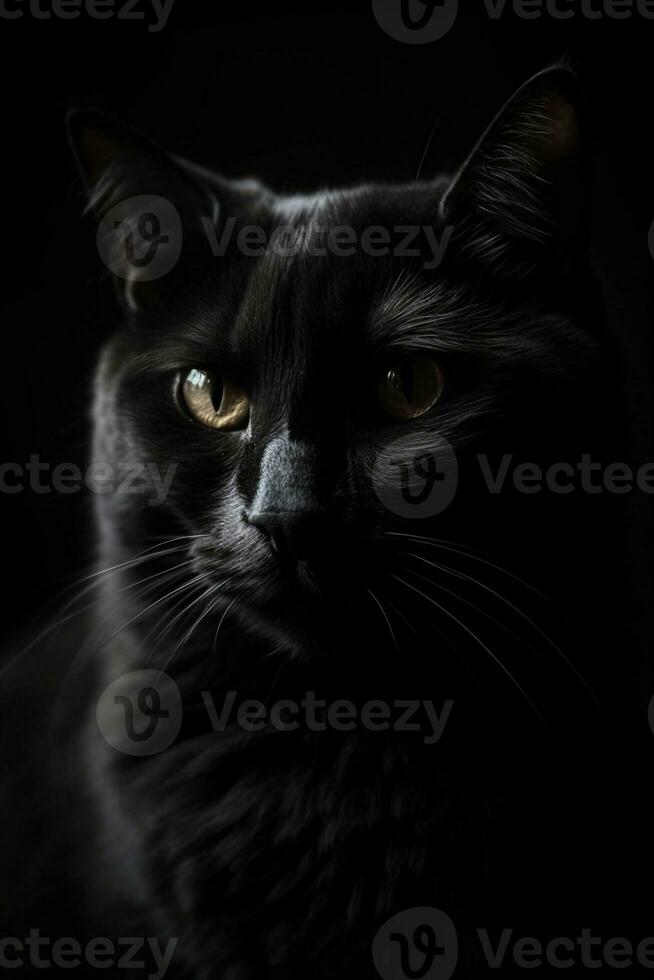 black cat portrait created using Generative AI photo