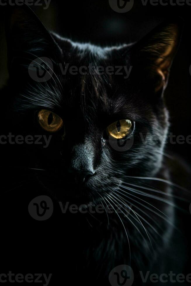 black cat portrait created using Generative AI photo