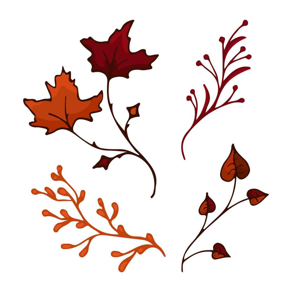 Vector branches in autumn colors. Twigs maple, aspen, coniferous, herbs. Vector illustration