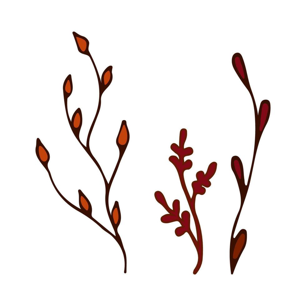 Doodle autumn colors twig branches element. Twig plant, herb. Vector illustration orange and red.