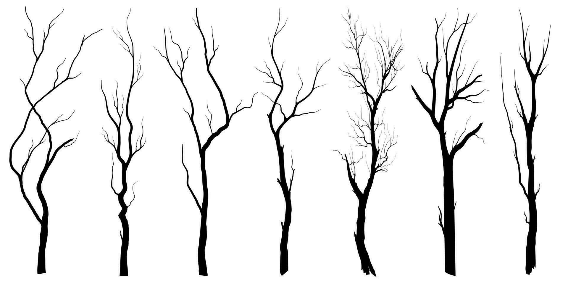 conjunto de siluetas de árbol de rama negra o árboles desnudos. ilustraciones aisladas dibujadas a mano. vector