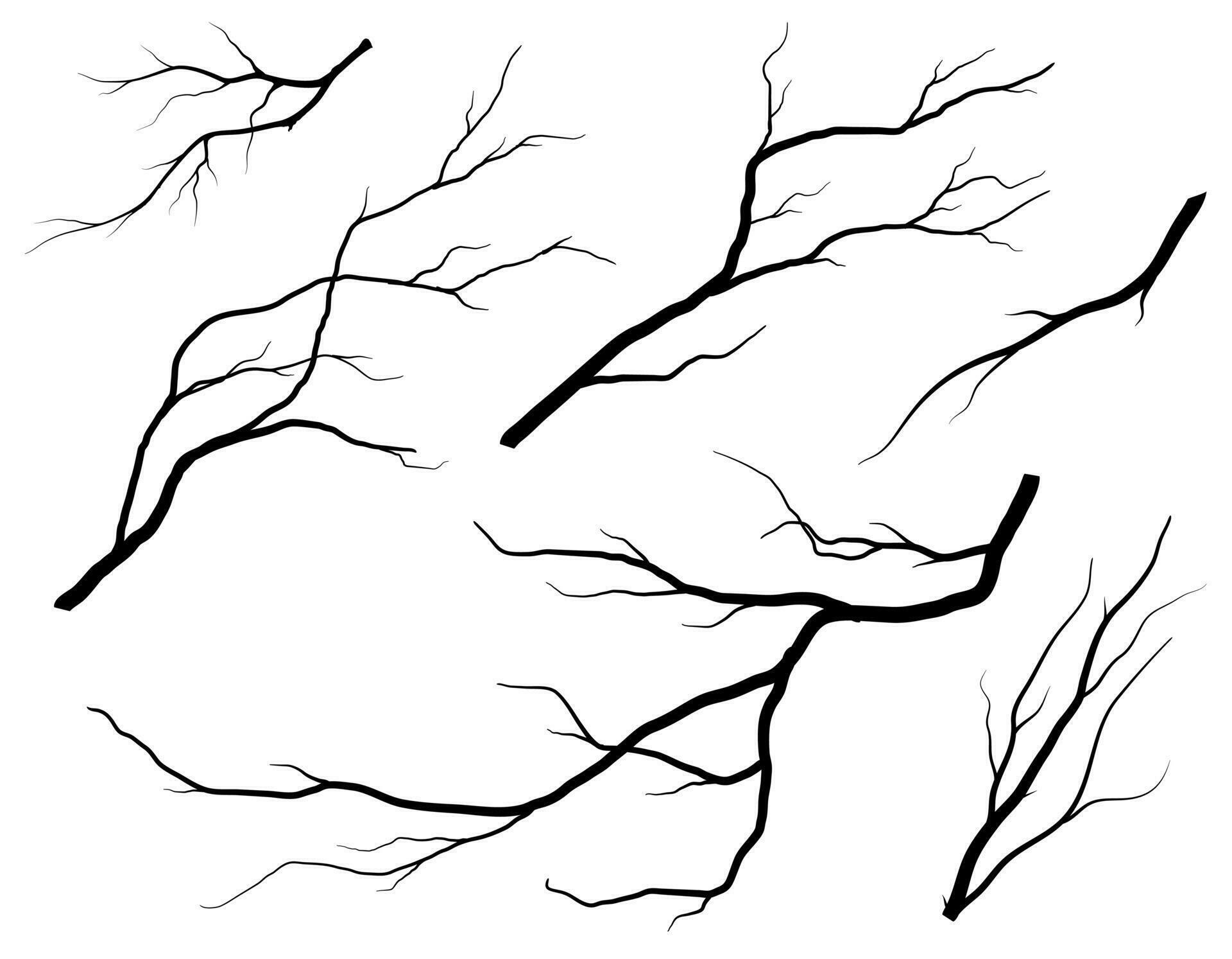 Black Branch Tree or Naked trees silhouettes set. Hand drawn isolated