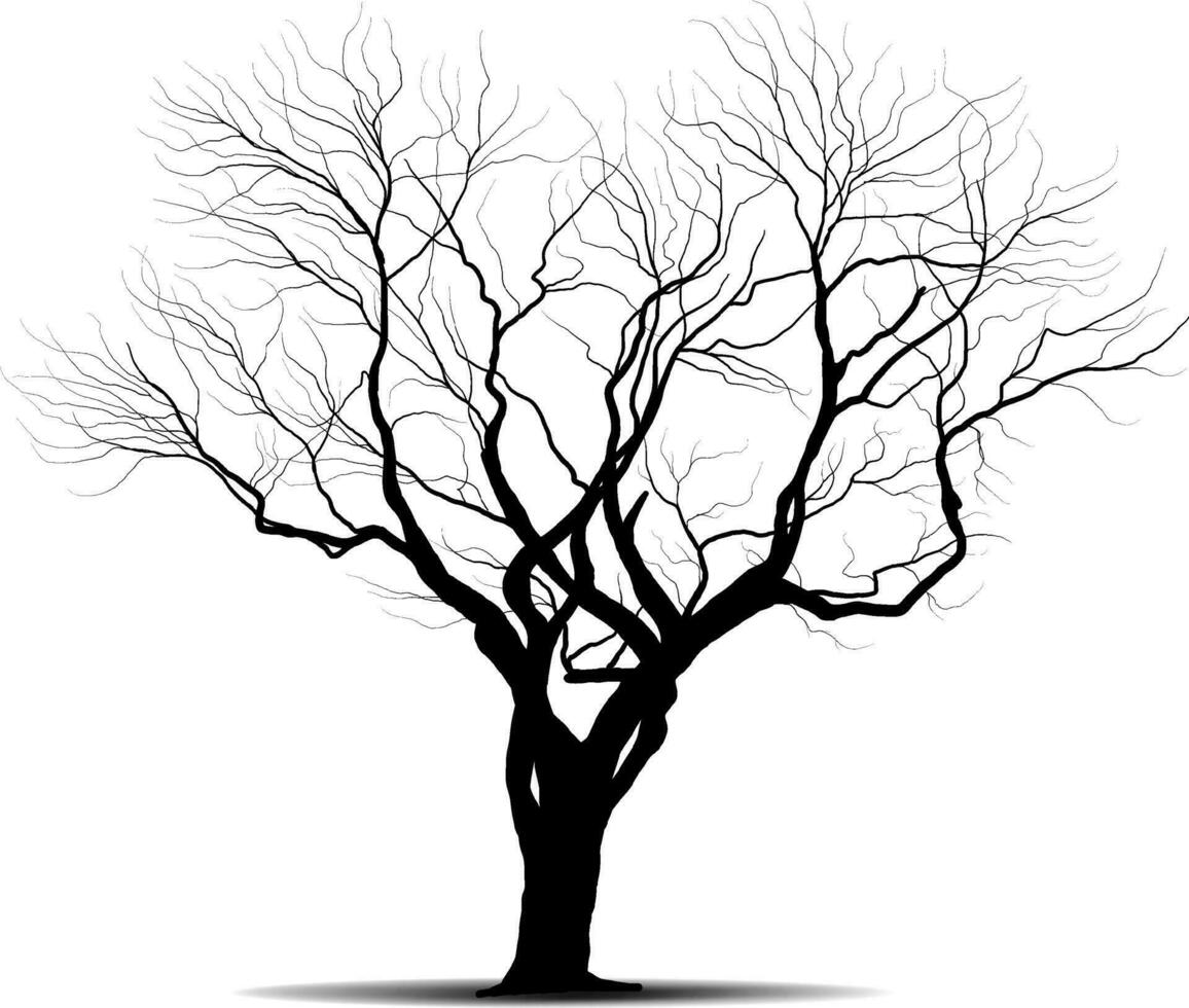 Black Branch Tree or Naked trees silhouettes set. Hand drawn isolated illustrations. vector