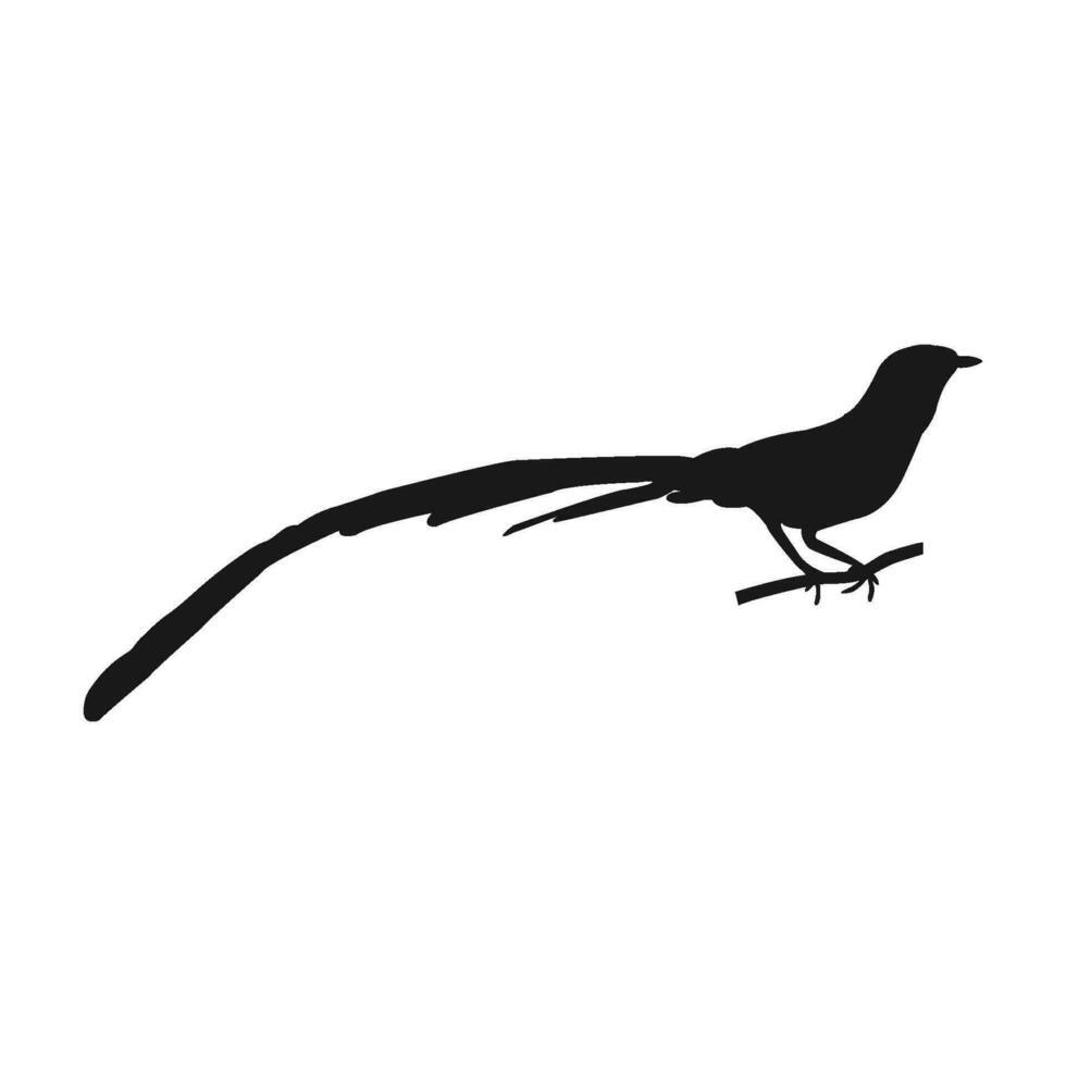 magpie bird icon vector