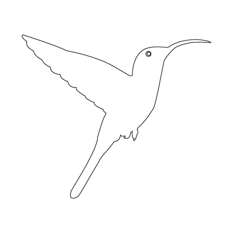 hummingbird icon vetor vector