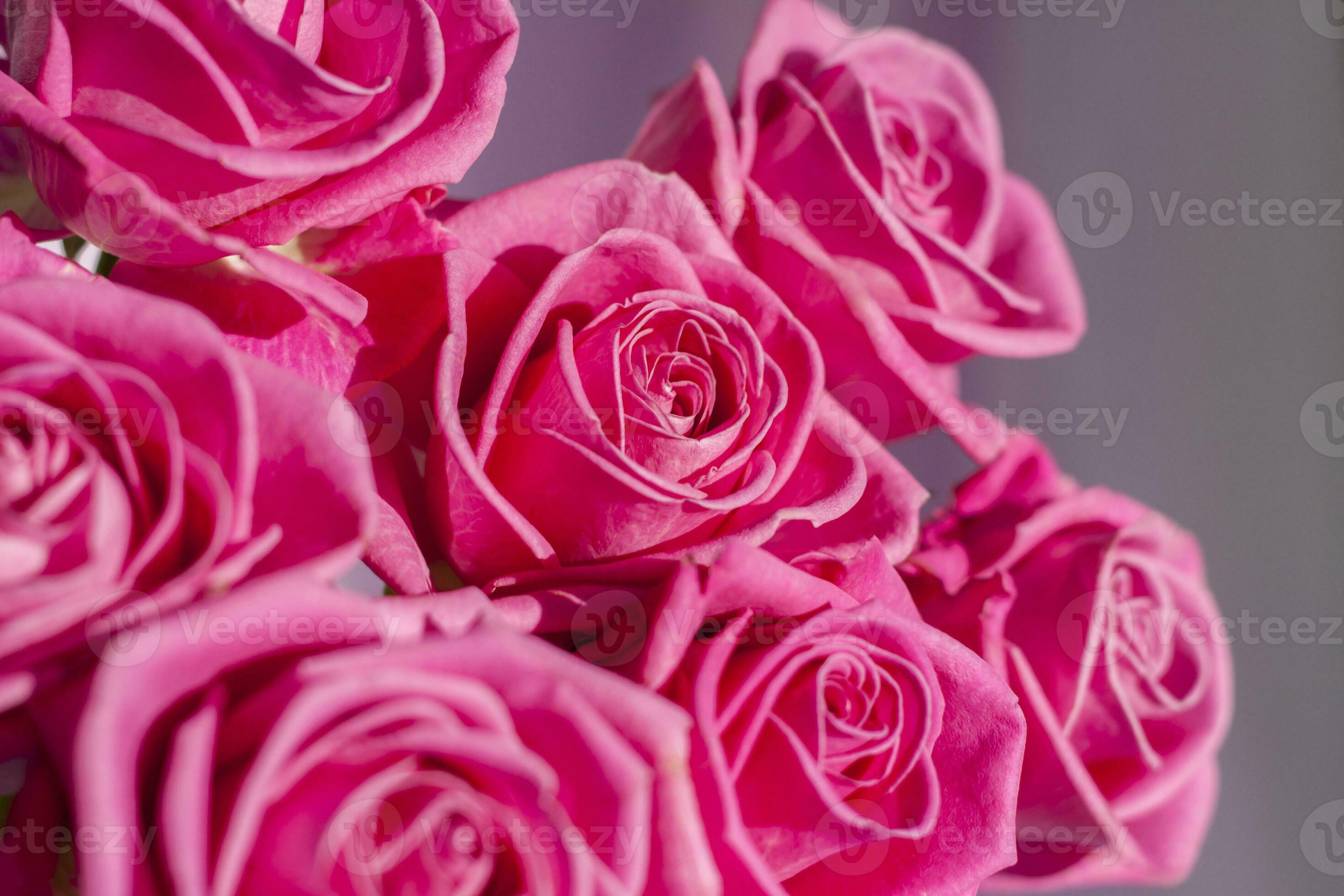 Bouquet of pink roses next to a gift with a happy birthday card