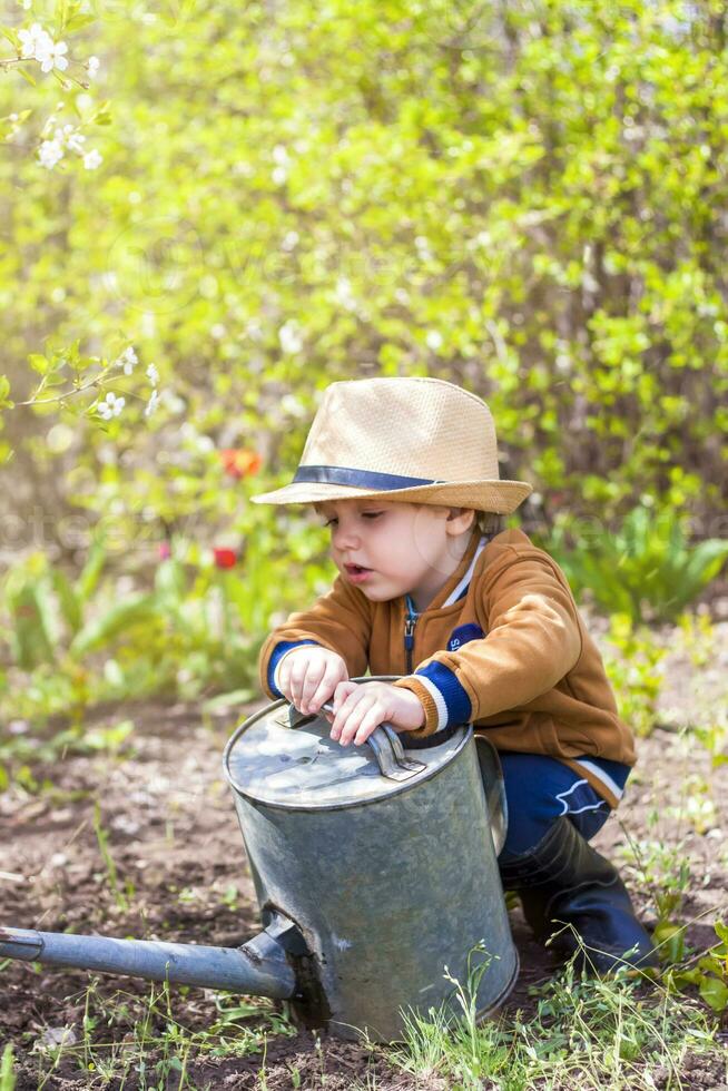 linda pequeño niñito chico en un sombrero y caucho botas es riego plantas con un riego lata en el jardín. un encantador pequeño niño Ayudar su padres crecer vegetales. foto