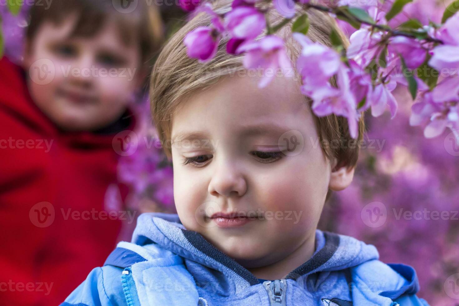 Portrait of children in pink apple blossoms. Apple tree in bloom. Spring flowering of the apple orchard. Background for presentations, posters, banners, and greeting cards. photo