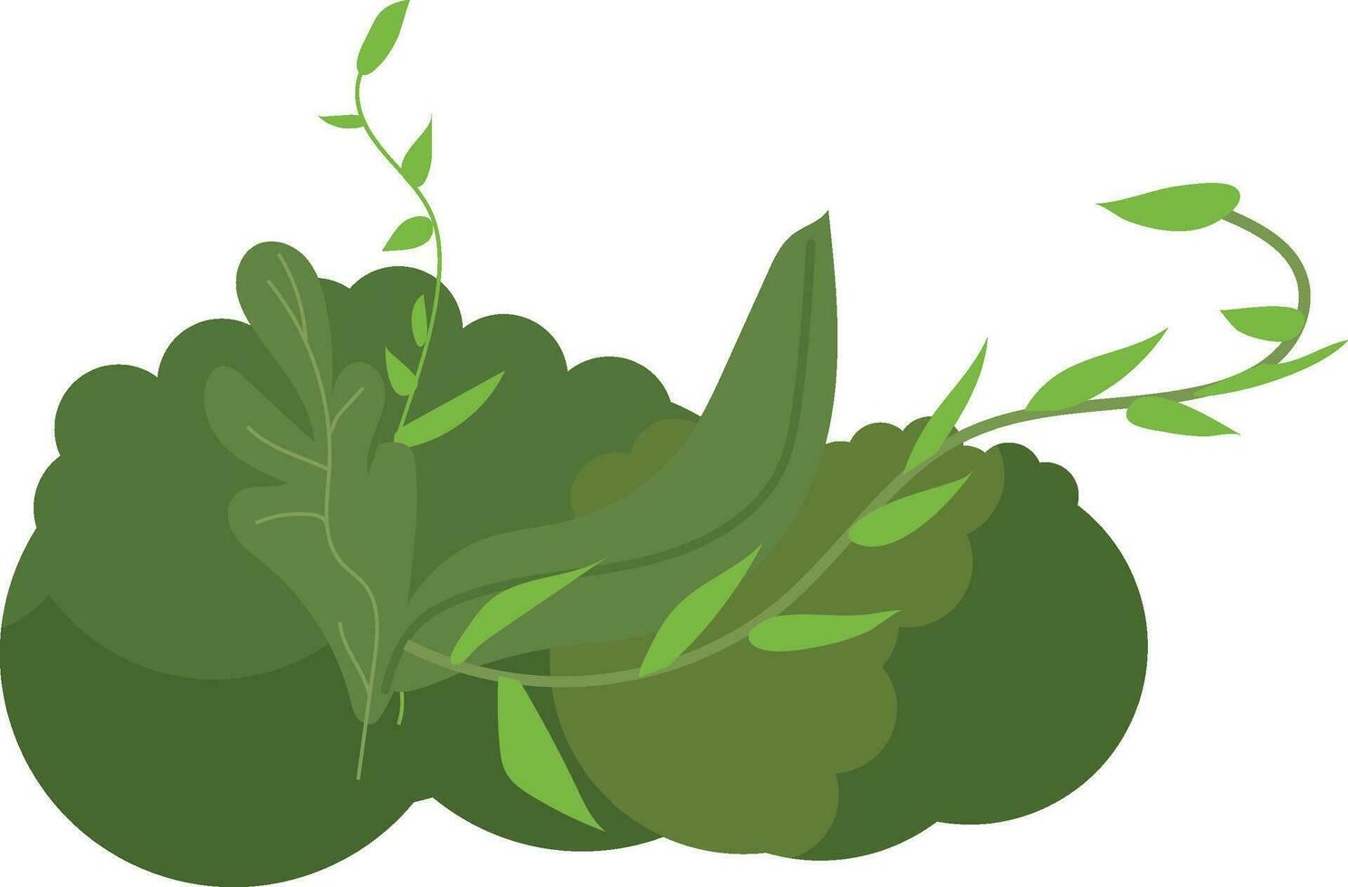 vector bush grass green on white background
