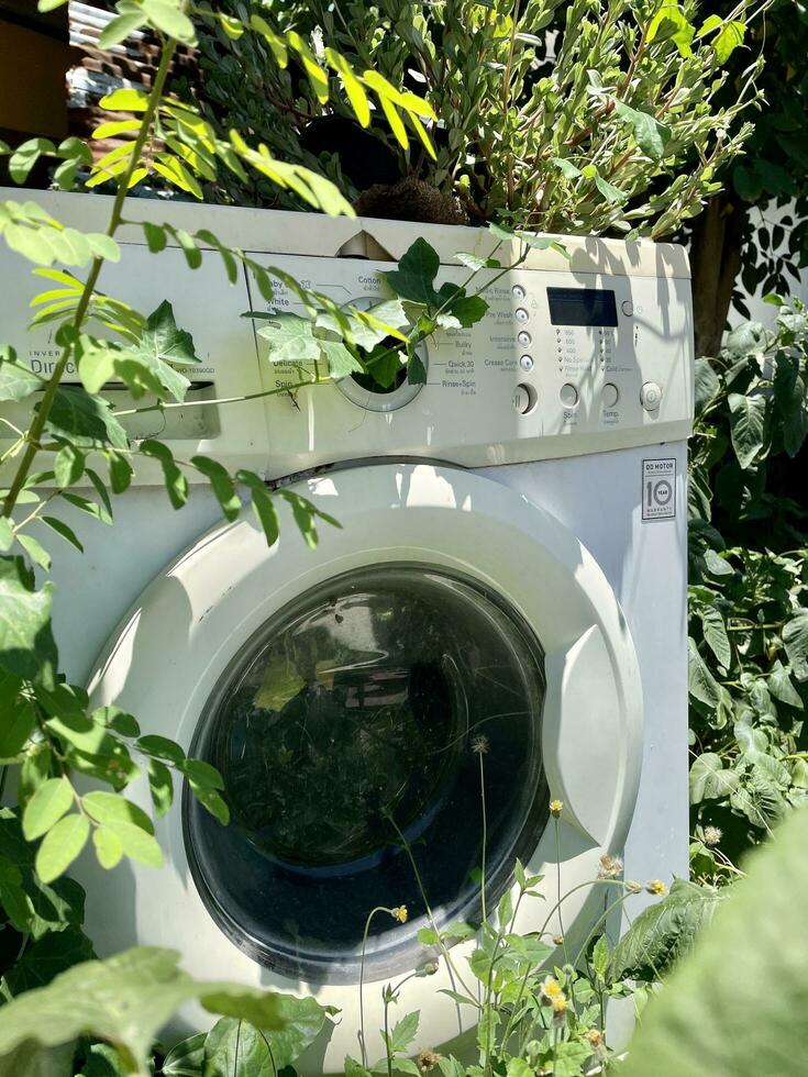 Washing machine in the midst of nature photo