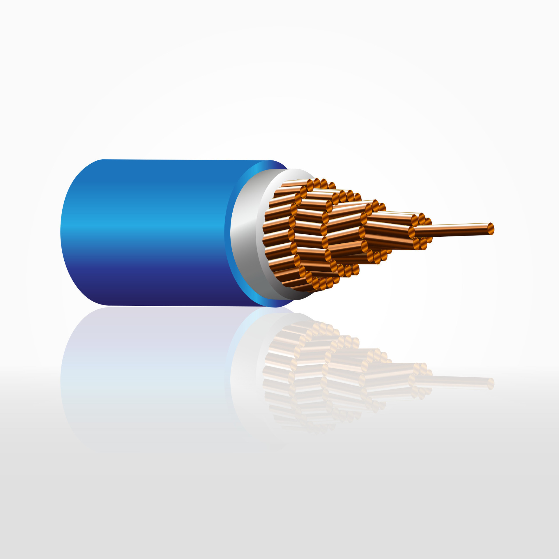 Closeup of electrical wire vector on a white background. 26534761