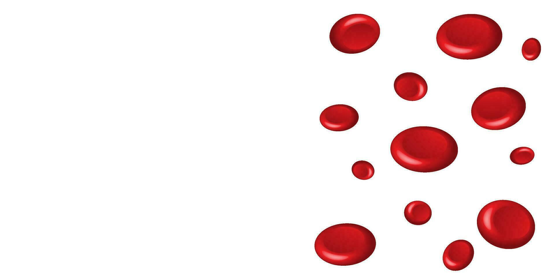 Red blood cells on isolated white background. Medical and Healthcare concept. Anatomy theme vector