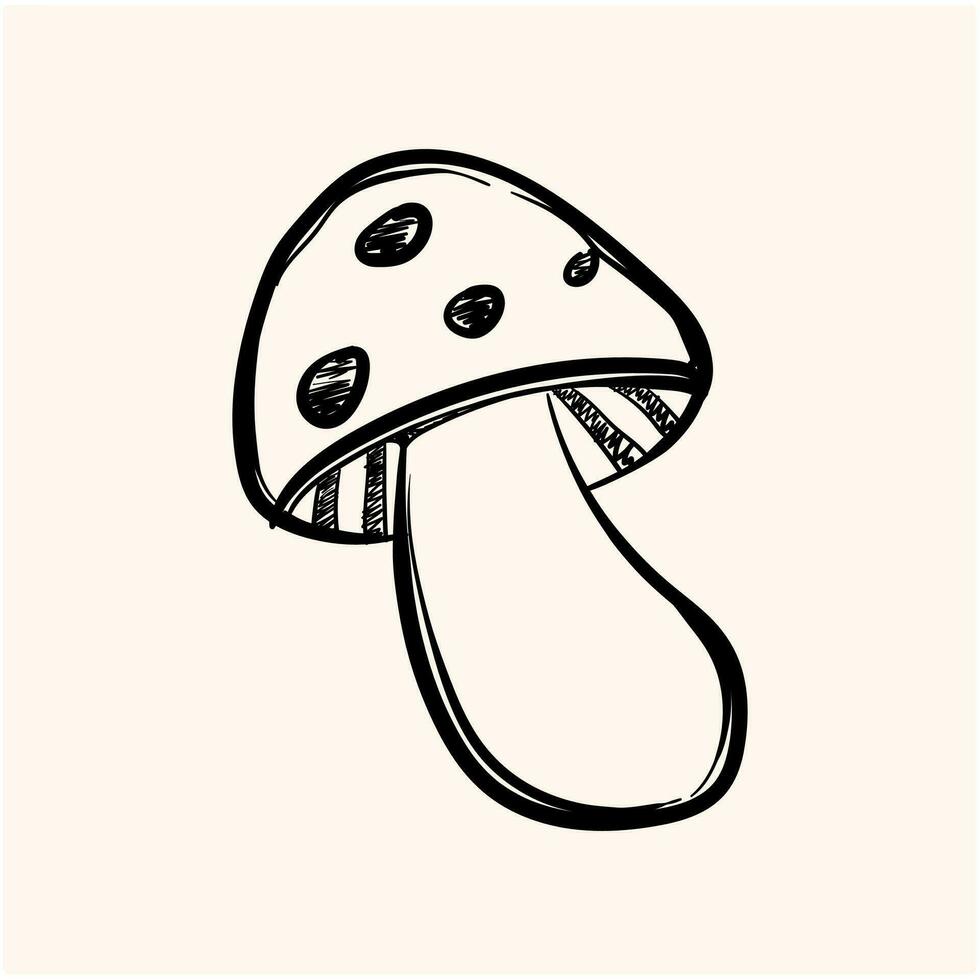 Amanita muscaria mushroom doodle. Wild forest mushrooms in autumn, isolated vector illustration.