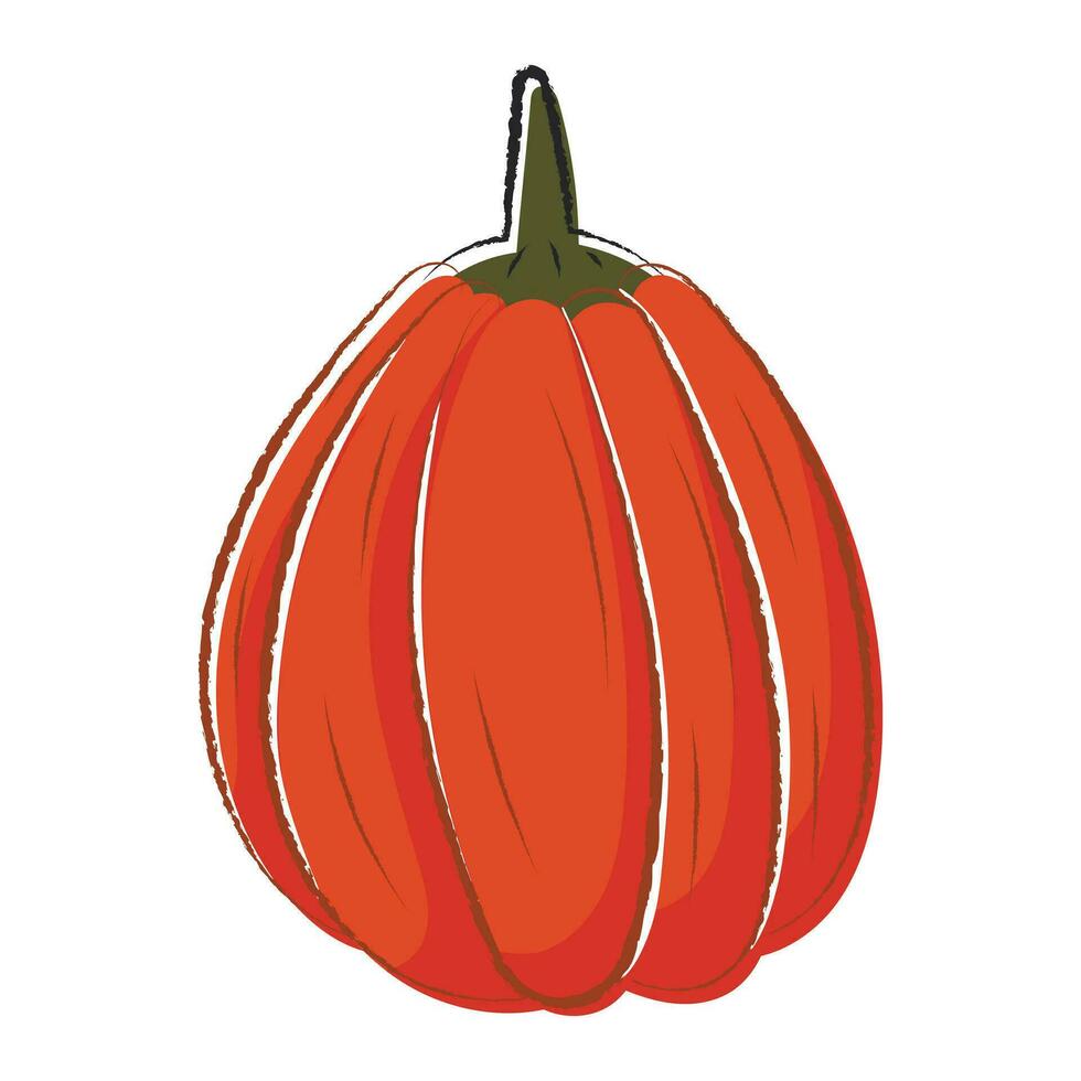 Vector isolated autumn illustration of halloween pumpkin in doodle style.