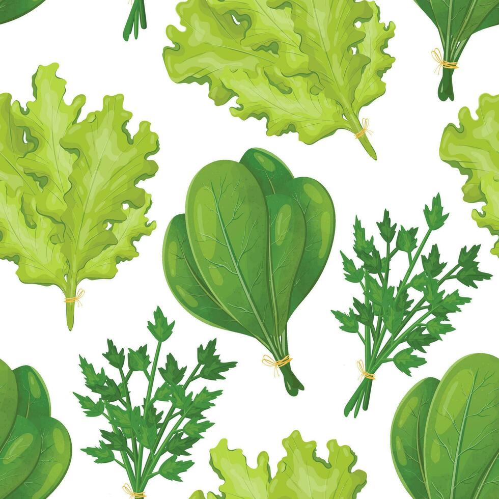 Vector seamless pattern with bundles of greenery. Fresh, healthy lettuce salad, spinach and parsley. Natural vegetarian food grown in the garden.