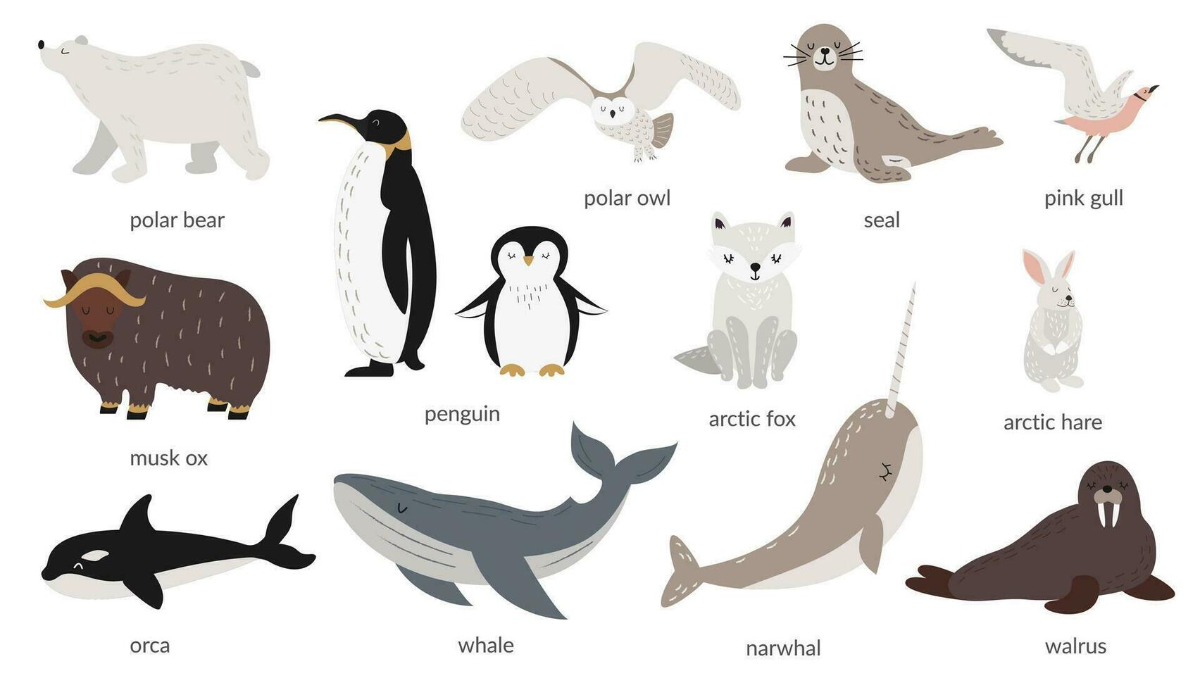 vector conjunto de polar animales con nombres marina mamíferos y aves. ballena, narval, morsa, polar búho, polar oso, pingüinos vector ilustración en plano estilo. bandera, póster. aislado objetos.