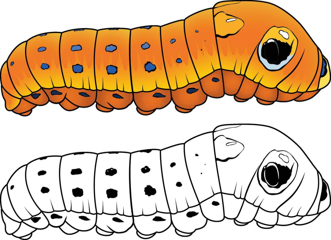 arbusto de especias cola de golondrina oruga papilio troilo naranja nublado mariposa vector imagen