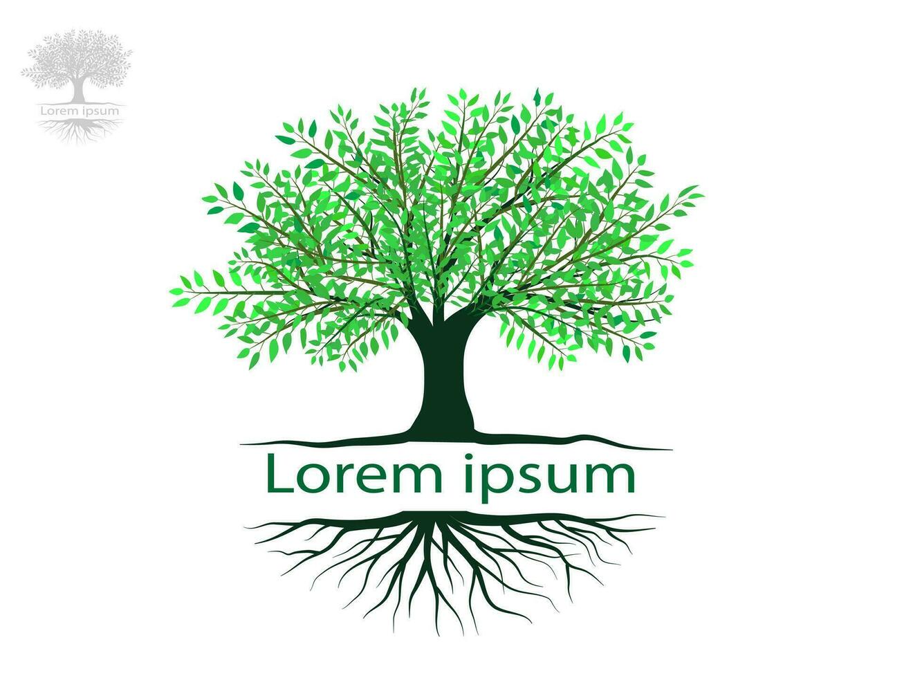 Trees and root with green leaves look beautiful and refreshing. Tree and roots LOGO style. vector