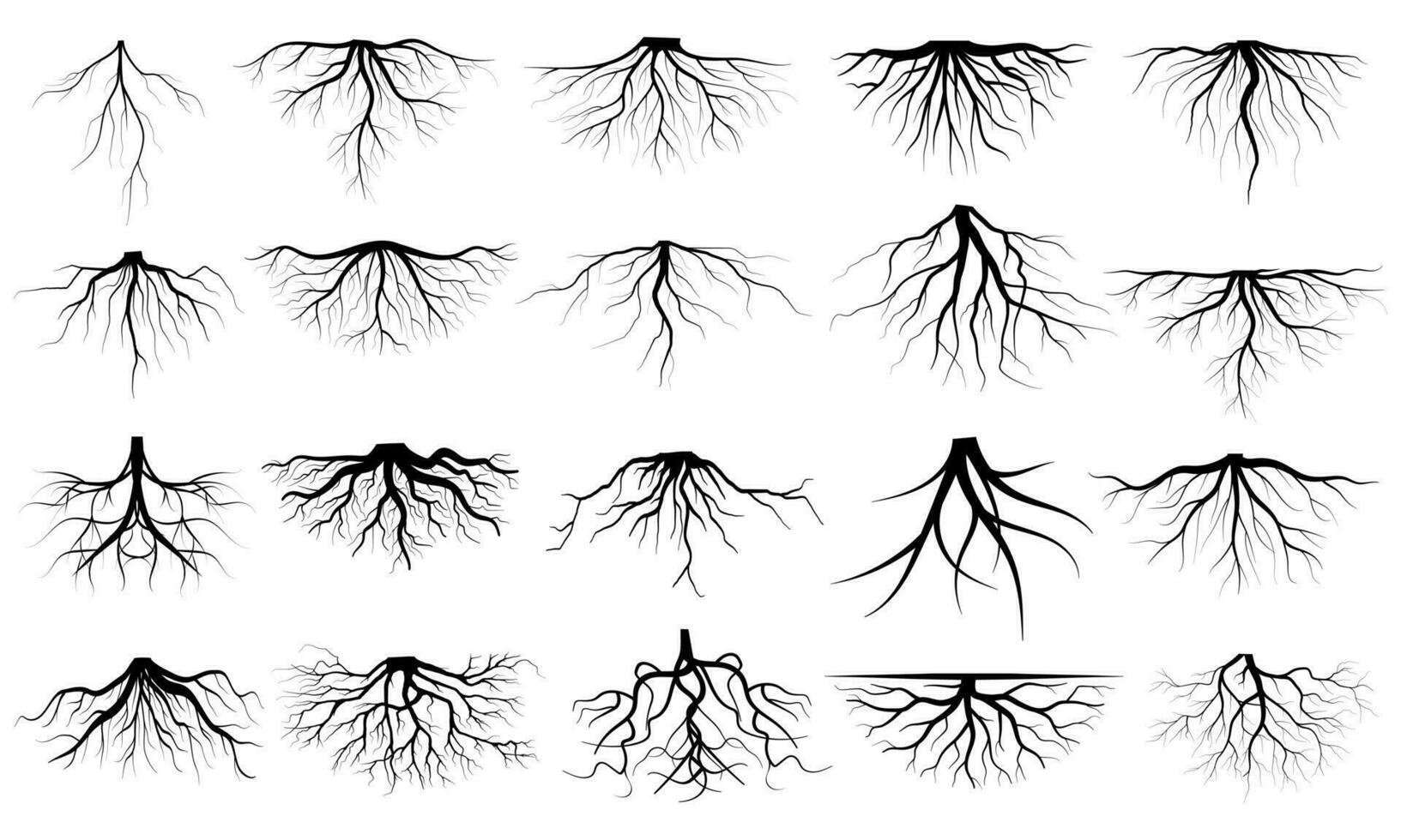 Big collection black roots silhouettes vector Symbol style and white background. Can be used for your work.