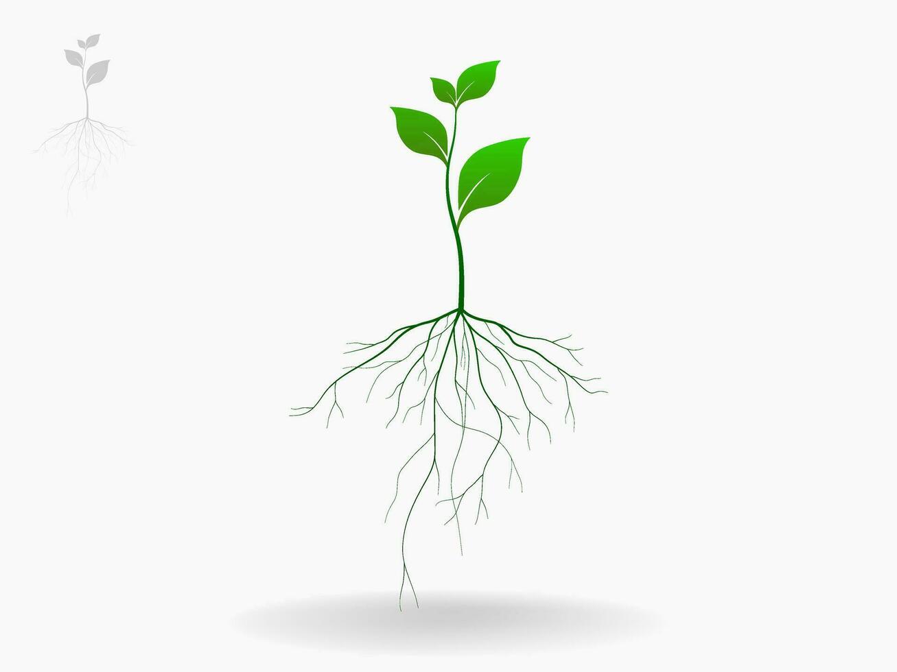 Trees and root with green leaves look beautiful and refreshing. Tree and roots LOGO style. vector