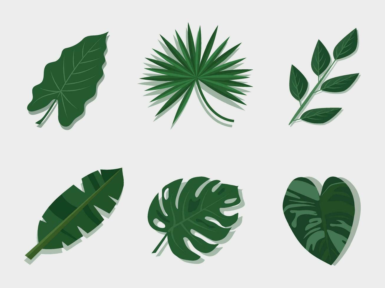 Set leaves plant green color for nature and on white background, Hand drawn vector. vector