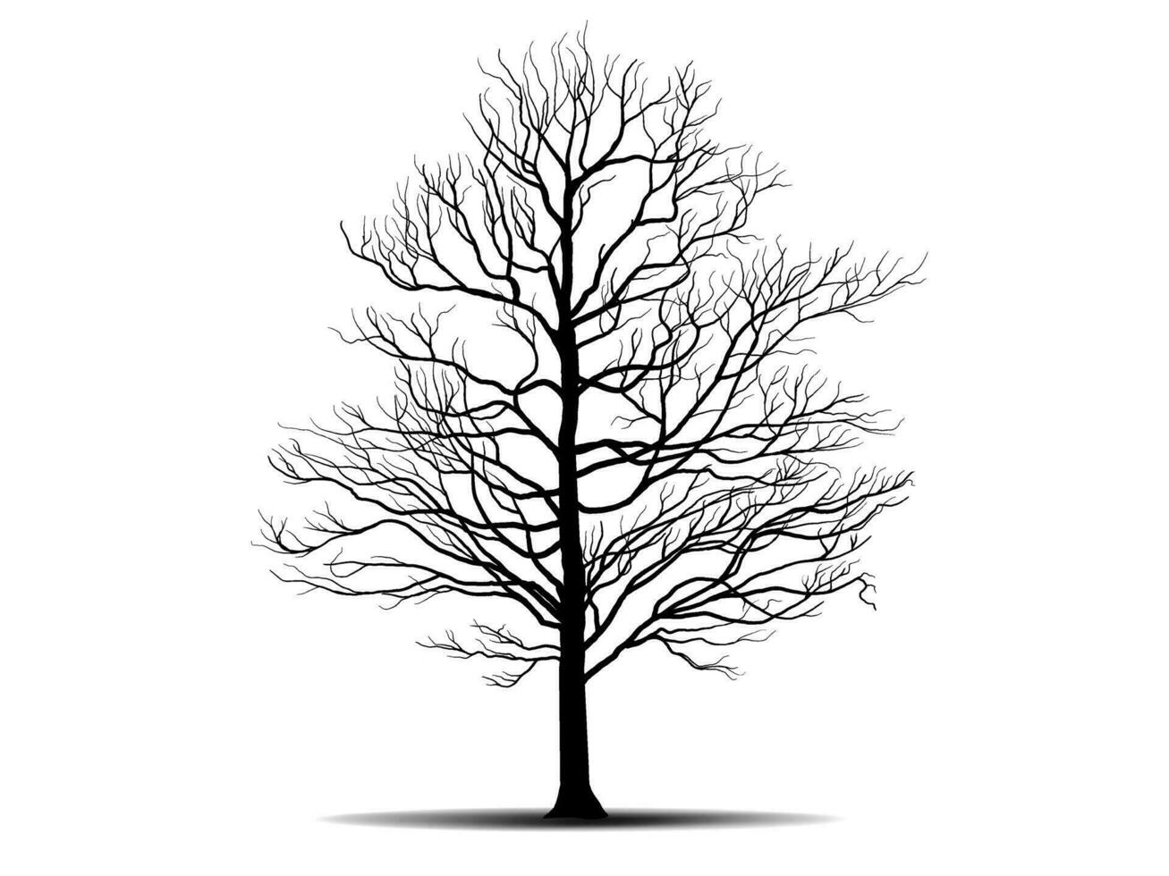 Black Branch Tree or Naked trees silhouettes. Hand drawn isolated illustrations. vector