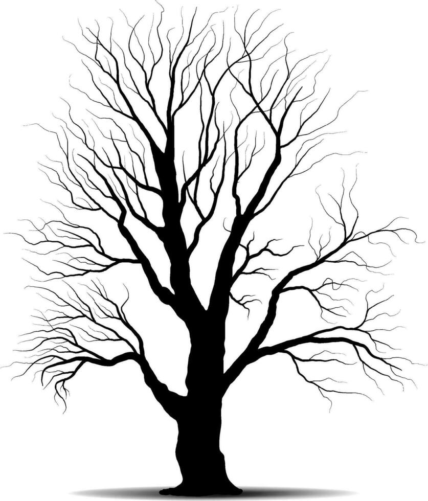 conjunto de siluetas de árbol de rama negra o árboles desnudos. ilustraciones aisladas dibujadas a mano. vector