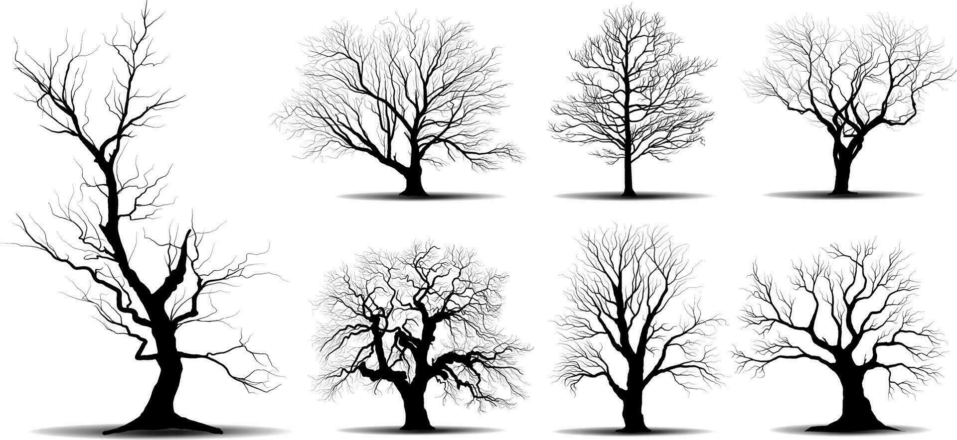 árbol de rama negra o siluetas de árboles desnudos. ilustraciones aisladas dibujadas a mano. vector